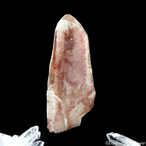 Scarlet Temple Rosetta Stone Cassiopeia Starbary Lightning Struck Lemurian Crystal
