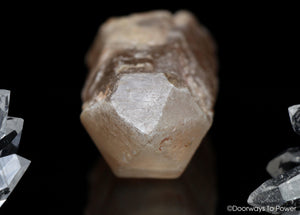 Dreamsicle Lemurian Quartz Crystal Record Keeper 