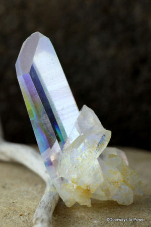 Angel Aura Starbrary Quartz Points