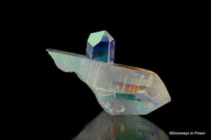 Angel Aura Pleiadian Starbrary Dolphin Crystal