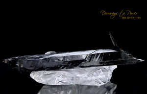 Aegirine Protection Crystal Wand