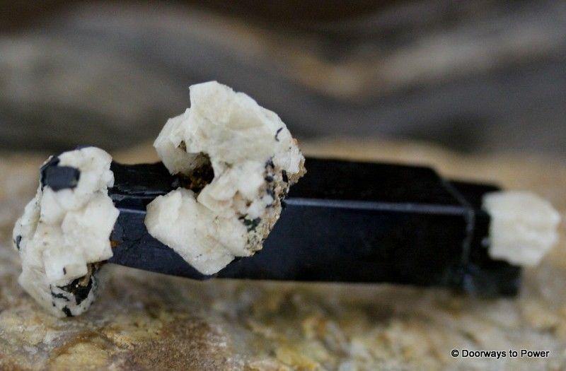 Aegirine Crystal w/ Feldspar