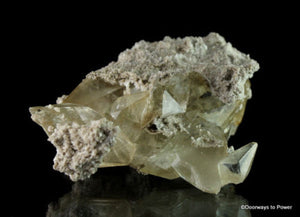 Golden Stellar Beam Calcite Crystal "Phoenix Rising"