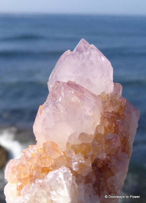 Amethyst Spirit Quartz Crystal w/ Citrine