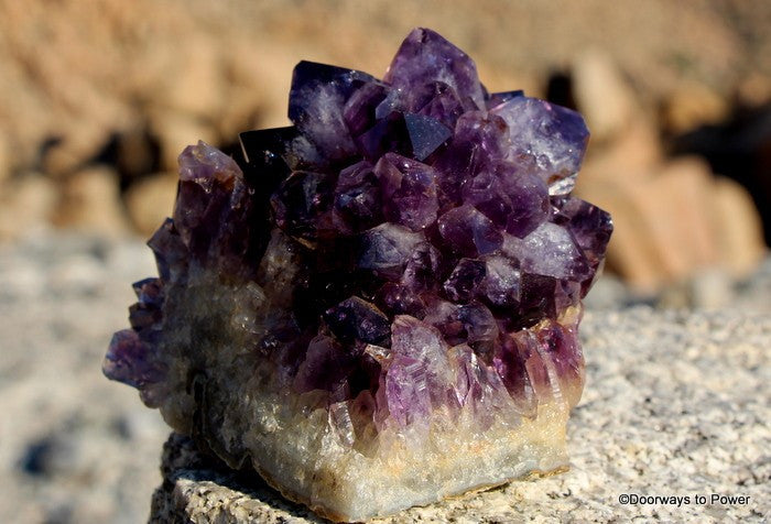 Amethyst flower cluster discount