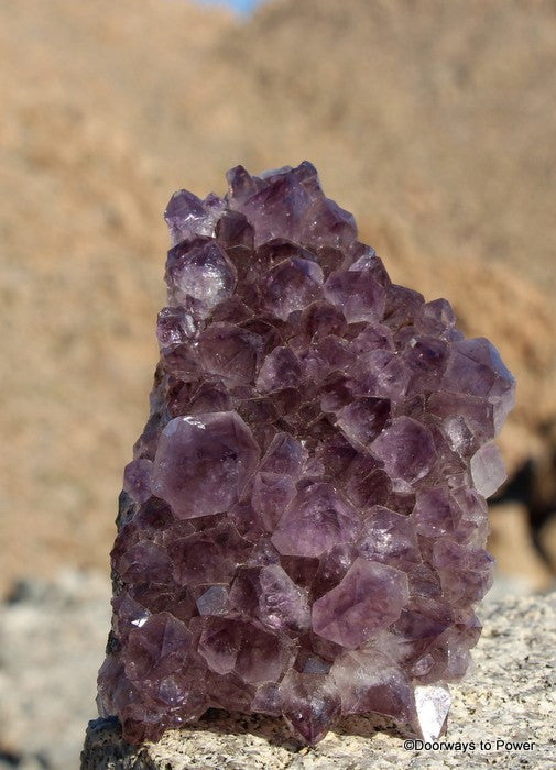 Amethyst Quartz Crystal Cluster