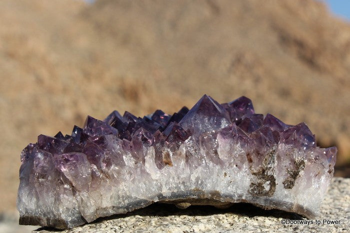 Amethyst Quartz Crystal Cluster