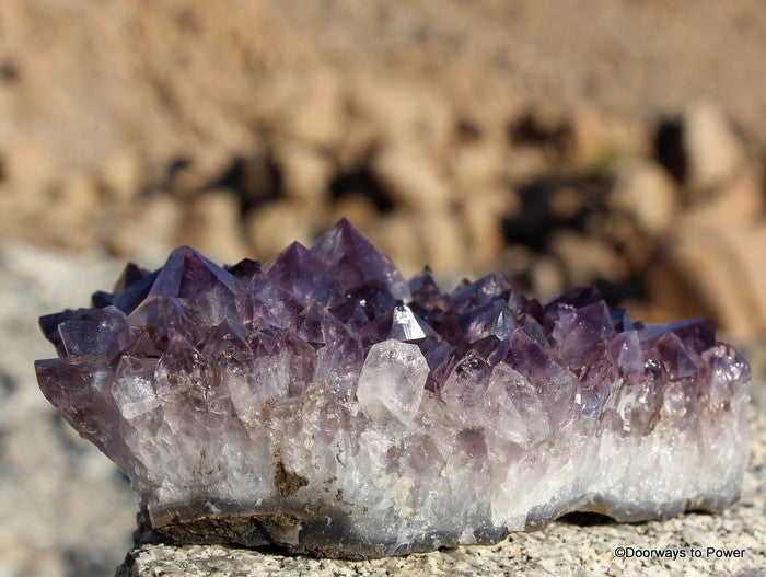Amethyst Quartz Crystal Cluster