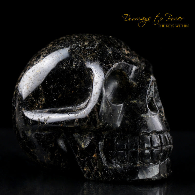 Ancient Nuummite Crystal Skull