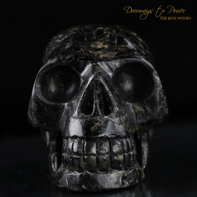 Ancient Nuummite Crystal Skull