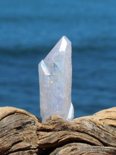 Angel Aura Quartz Record Keeper Crystal