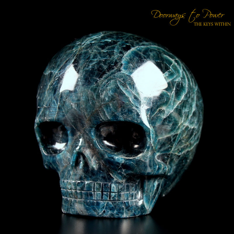 Apatite Magical Child Crystal Skull By Leandro De Souza 