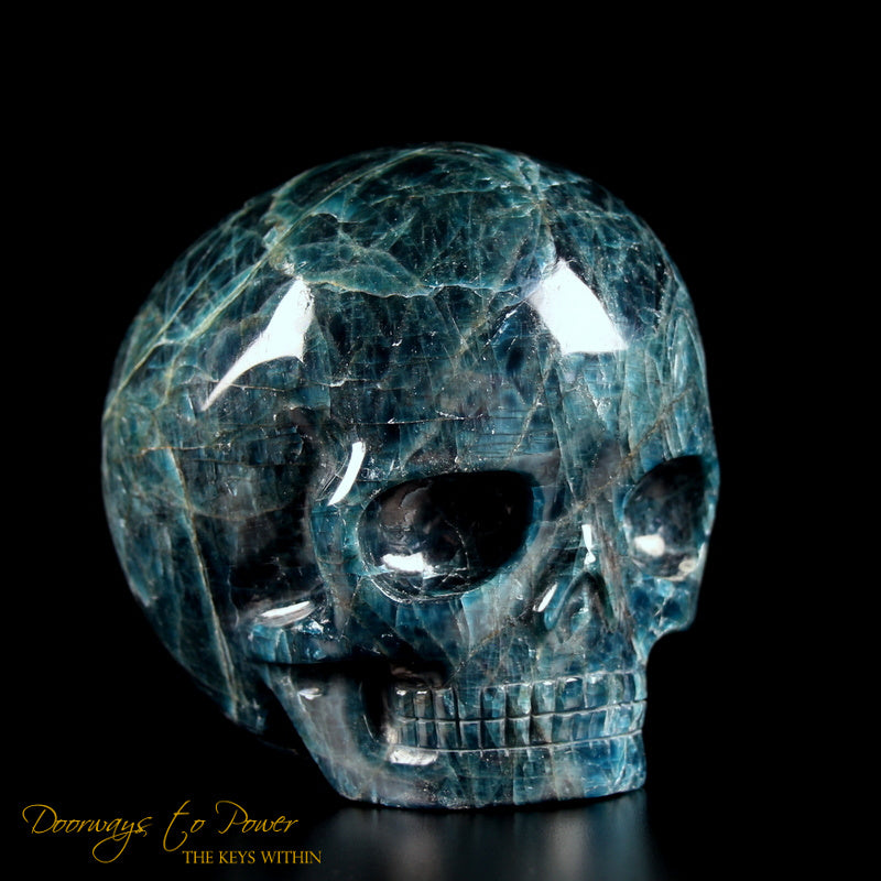 Apatite Magical Child Crystal Skull By Leandro De Souza 