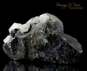 XL Azozeo Phenacite Crystal Cluster 