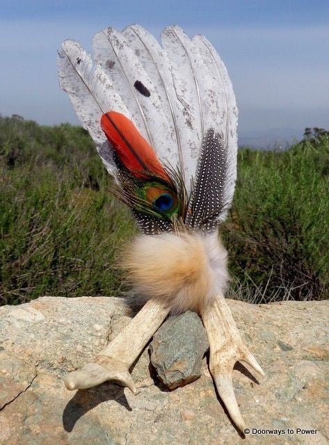 Smudge Fan Turkey Peacock Parrot Native American