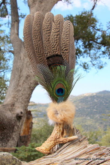 Turkey Smudge Fan Native American