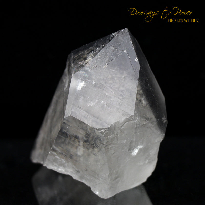 Black Phantom Lemurian Record Keeper Quartz Crystal 'The Protector'