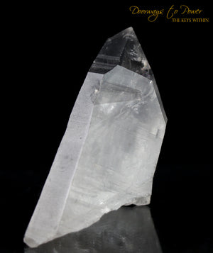 Black Phantom Lemurian Record Keeper Quartz Crystal 'The Protector'