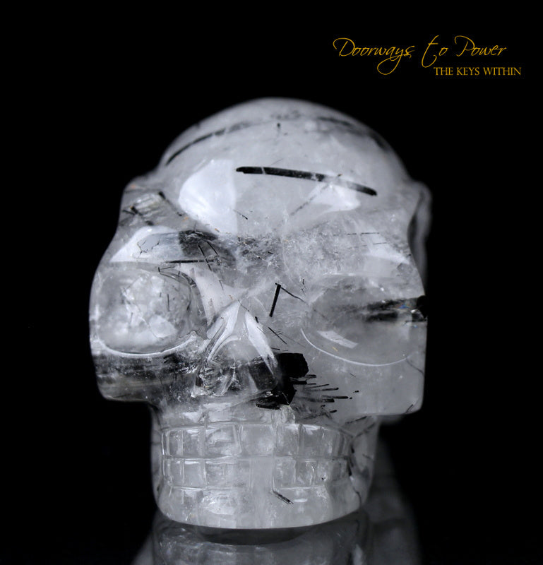 Black Tourmalinated Star Traveler Quartz Crystal Skull