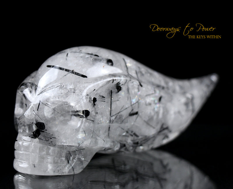 Black Tourmalinated Star Traveler Quartz Crystal Skull