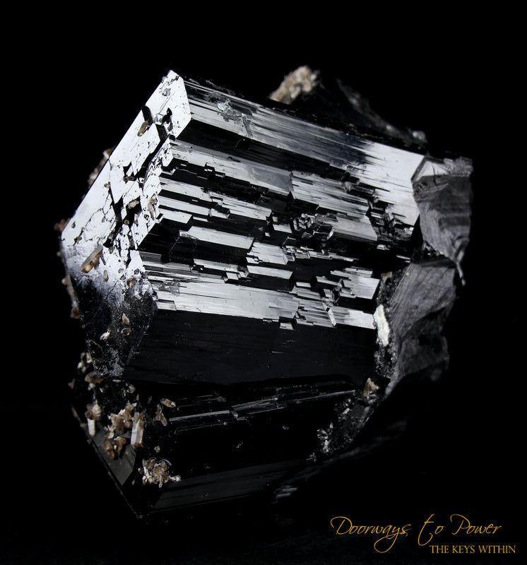 Black Tourmaline Etched Record Keeper Crystal Cannon