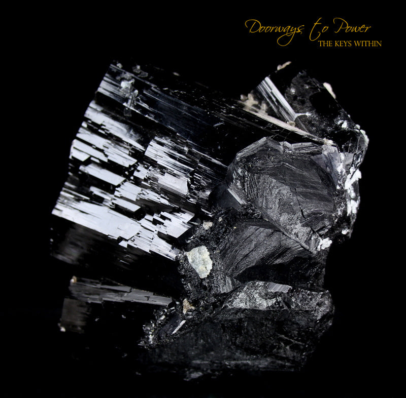 Black Tourmaline Etched Record Keeper Crystal Cannon