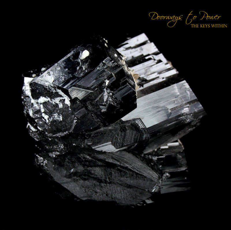 Black Tourmaline Etched Record Keeper Crystal Cannon