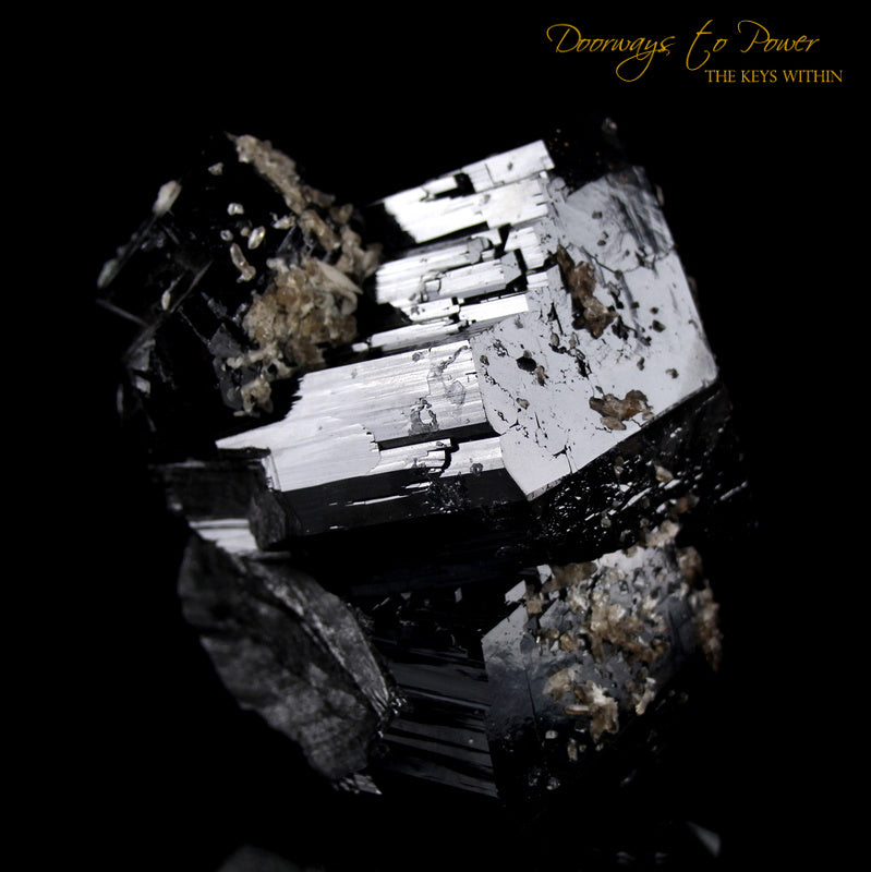 Black Tourmaline Etched Record Keeper Crystal Cannon