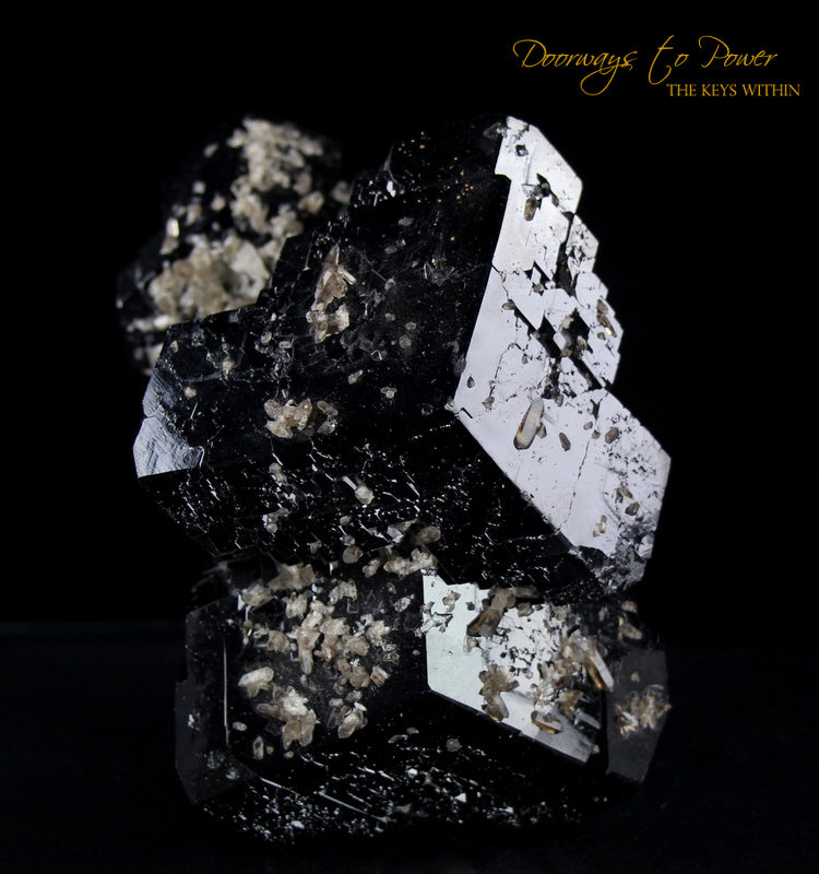 Black Tourmaline Etched Record Keeper Crystal Cannon