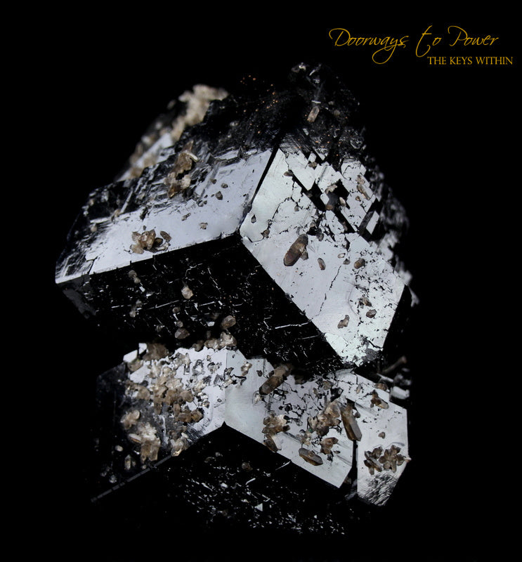 Black Tourmaline Etched Record Keeper Crystal Cannon