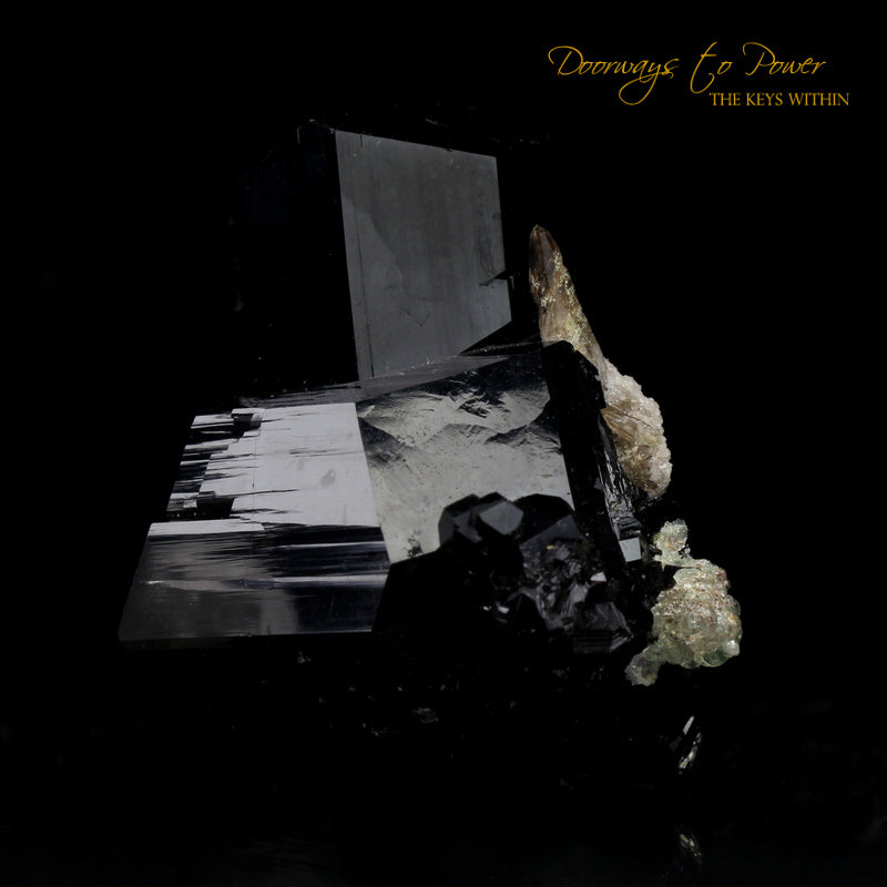 Black Tourmaline Etched Record Keeper Crystal Cannon 'Armor Grid'