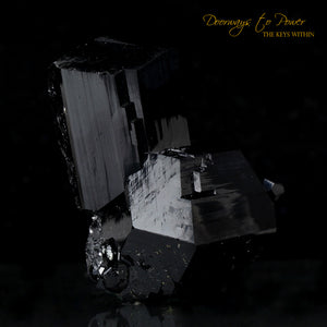 Black Tourmaline Etched Record Keeper Crystal Cannon 'Armor Grid'