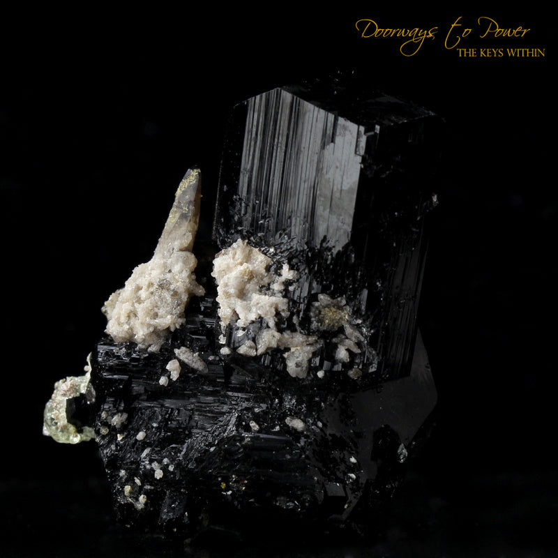 Black Tourmaline Etched Record Keeper Crystal Cannon 'Armor Grid'