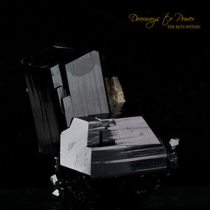 Black Tourmaline Etched Record Keeper Crystal Cannon 'Armor Grid'