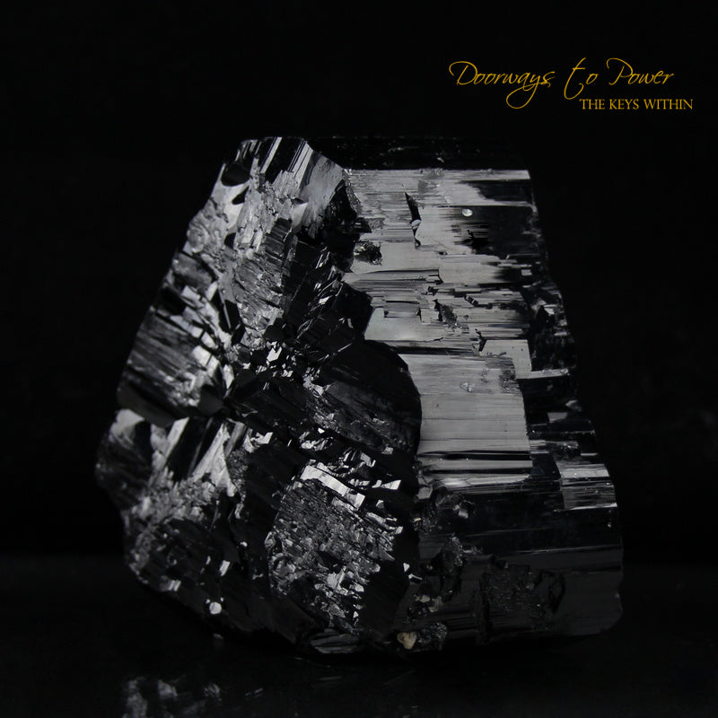 Black Tourmaline Etched Record Keeper Crystal Cannon 'Armor Grid'