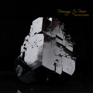 Black Tourmaline Etched Record Keeper Crystal Cannon 'Armor Grid'