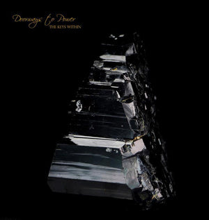 Black Tourmaline Etched Record Keeper Crystal Cannon 'Armor'