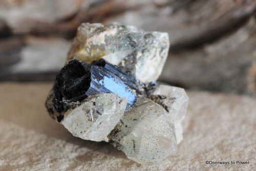 Black Tourmaline w/ Quartz