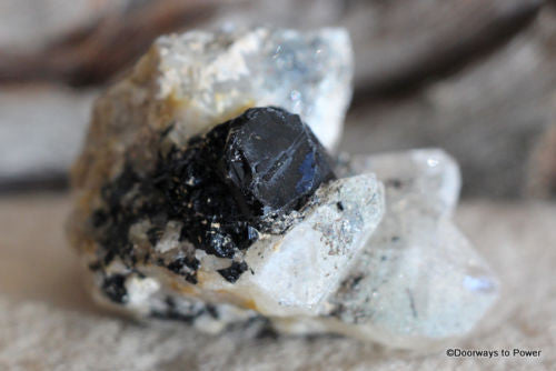 Black Tourmaline w/ Quartz