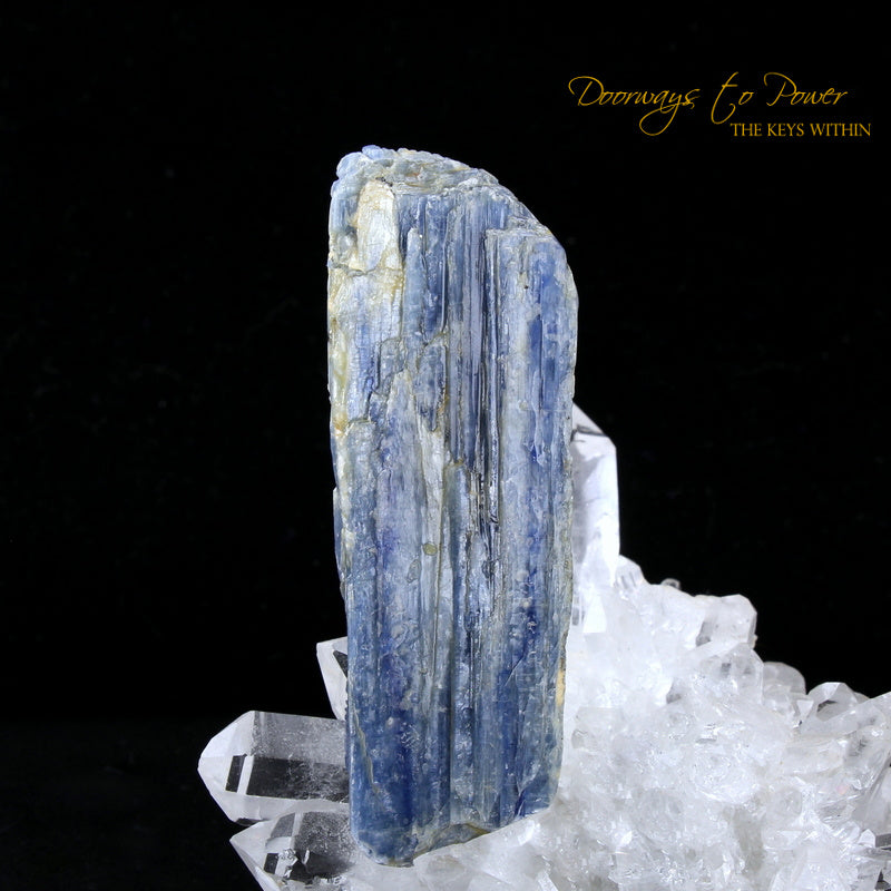 Blue Kyanite Dragon Crystal Carving 