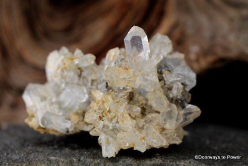 Brookite Crystal Cluster  Synergy 12