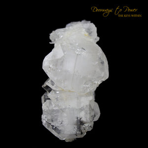 Brookite in Quartz Crystal Cluster Points 'Museum Quality' 