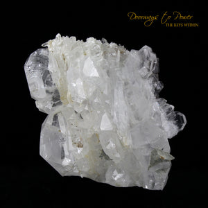 Brookite in Quartz Crystal Cluster Points 'Museum Quality' 