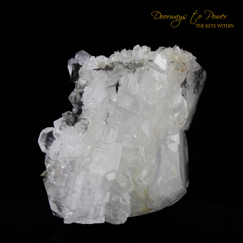 Brookite in Quartz Crystal Cluster Points 'Museum Quality' 