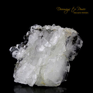 Brookite in Quartz Crystal Cluster Points 'Museum Quality' 