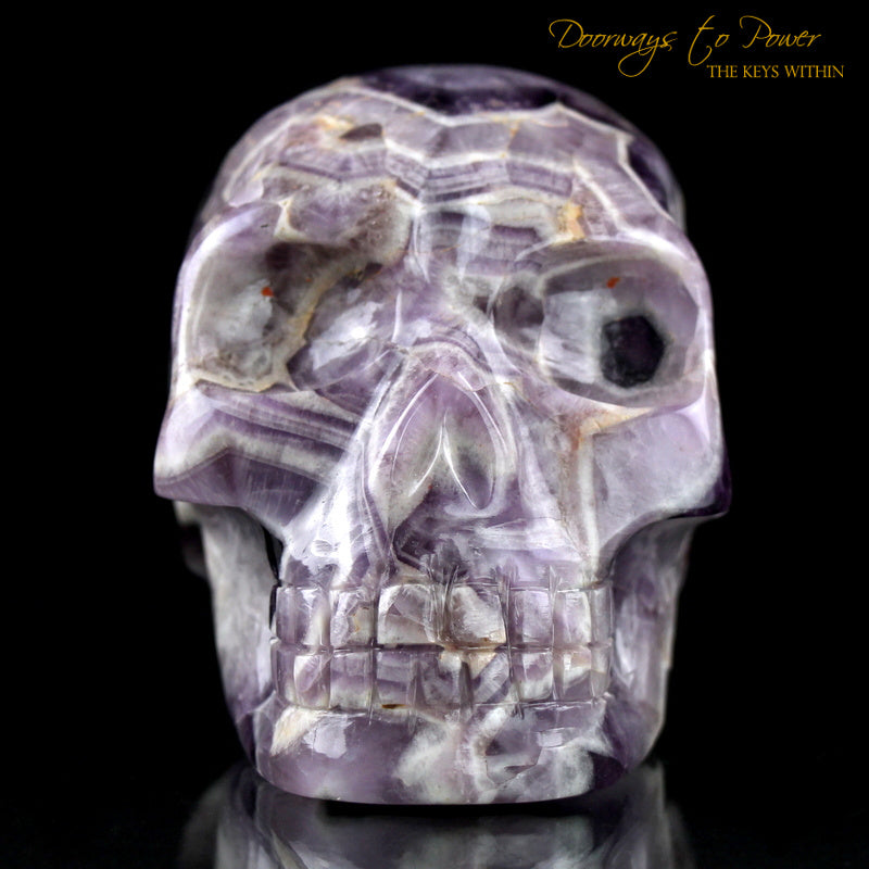 Chevron Amethyst Crystal Skull 'Mouth of God' by Leandro De Souza 