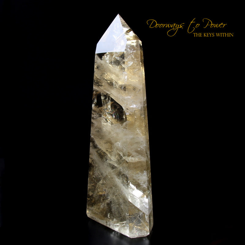 XL Citrine Quartz Devic Temple Crystal Point