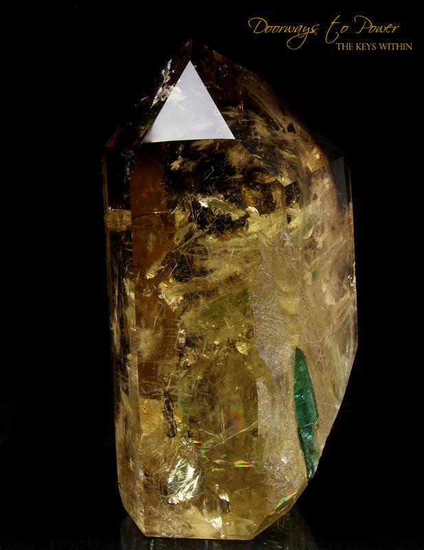 Citrine Quartz Point with Green Tourmaline Inclusions