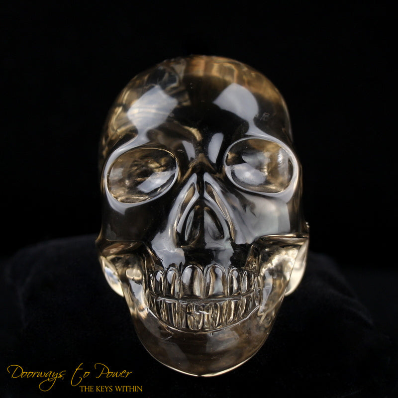 Citrine Twin Quartz Crystal Skull 'Duality' by Leandro