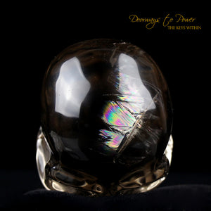 Citrine Twin Quartz Crystal Skull 'Duality' by Leandro